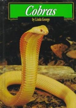 Hardcover Cobras Book