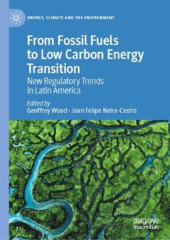 Hardcover Modeling and Simulation of Nanofluid Flow Problems: New Regulatory Trends In Latin America (Energy, Climate and the Environment) Book