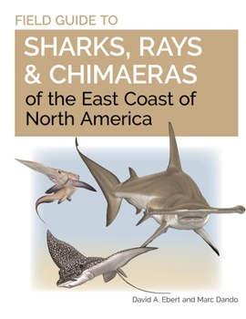 Paperback Field Guide to Sharks, Rays and Chimaeras of the East Coast of North America Book