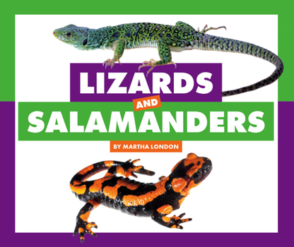 Library Binding Lizards and Salamanders Book