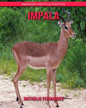 Impala: Amazing Facts & Photos