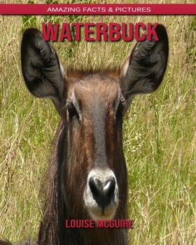 Paperback Waterbuck: Amazing Facts & Pictures Book