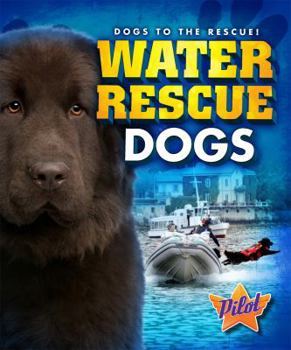 Library Binding Water Rescue Dogs Book