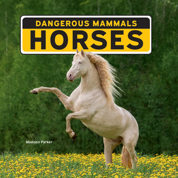 Paperback Horses Book