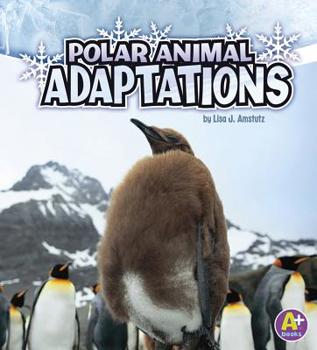 Polar Animal Adaptations - Book  of the Amazing Animal Adaptations