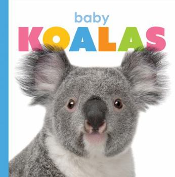 Baby Koalas - Book  of the Starting Out