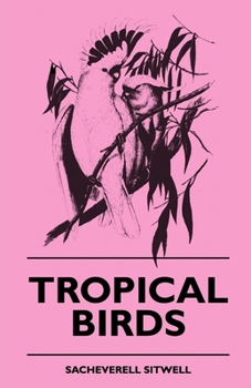 Paperback Tropical Birds Book