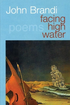 Paperback Facing High Water Book