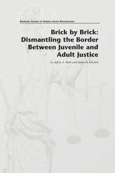 Paperback Brick by Brick: Dismantling the Border Between Juvenile and Adult Justice Book