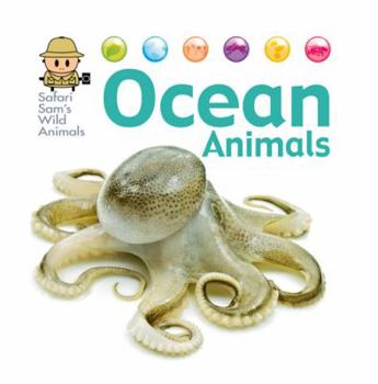 Paperback Ocean Animals Book
