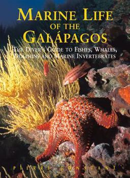 Paperback Marine Life of the Galapagos: The Diver's Guide to Fishes, Whales, Dolphins and Marine Invertebrates Book