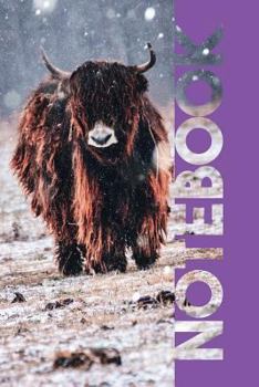 Paperback Notebook: Aberdeen Angus Terrific Composition Book for Highland Cow Farmers Book