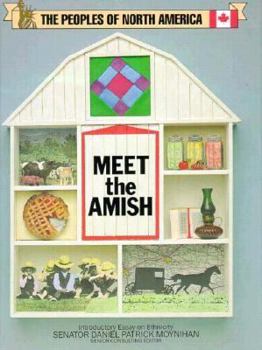 Library Binding Amish(oop) Book