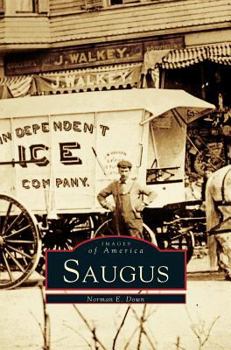 Hardcover Saugus Book