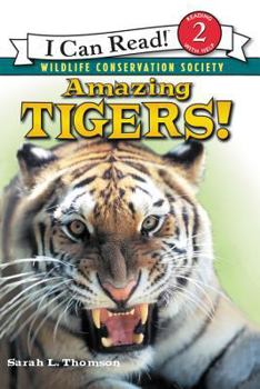 Paperback Amazing Tigers! Book