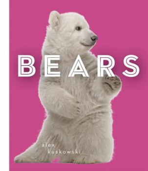 Bears - Book  of the Zoo Animals
