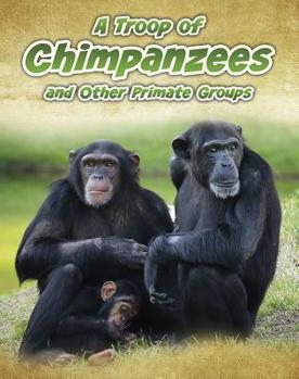 Paperback A Troop of Chimpanzees: And Other Primate Groups Book