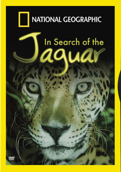 In Search of the Jaguar