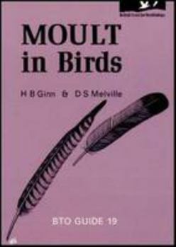 Paperback Moult in birds (BTO guide) Book