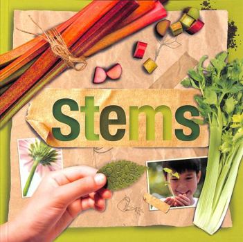 Paperback Stems (Plant Parts) Book
