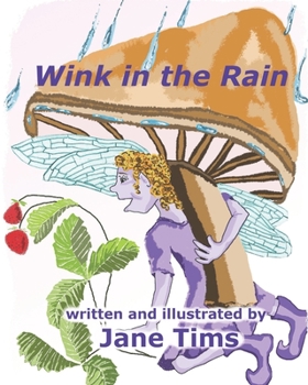 Paperback Wink in the Rain Book
