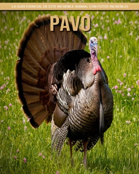Pavo: La guía esencial de este increíble animal con fotos increíbles