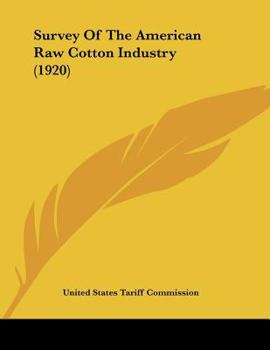 Paperback Survey Of The American Raw Cotton Industry (1920) Book