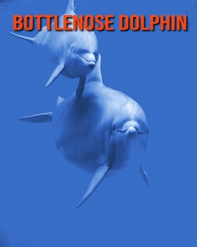 Paperback Bottlenose Dolphin: Incredible Pictures and Fun Facts about Bottlenose Dolphin Book