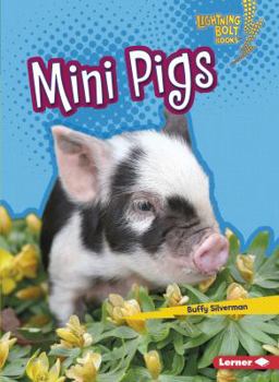 Paperback Mini Pigs Book