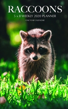 Paperback Raccoons 5 x 8 Weekly 2020 Planner: One Year Calendar Book