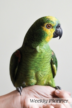 Weekly Planner: Daily Scheduler Agenda 52 weeks 6x9