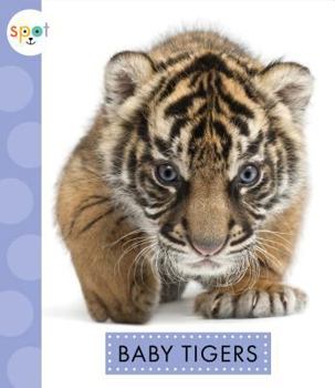 Baby Tigers - Book  of the Spot Baby Animals