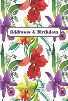 Paperback Addresses & Birthdays: Watercolor Fancy Orchids Book