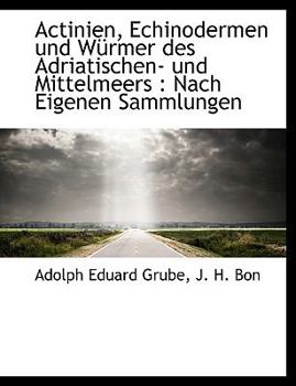 Actinien, Echinodermen und W?rmer des Adriatischen- und Mittelmeers : Nach Eigenen Sammlungen