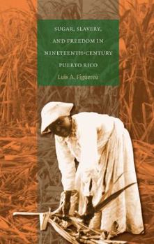 Paperback Sugar, Slavery, and Freedom in Nineteenth-Century Puerto Rico Book