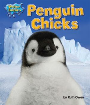 Library Binding Penguin Chicks Book