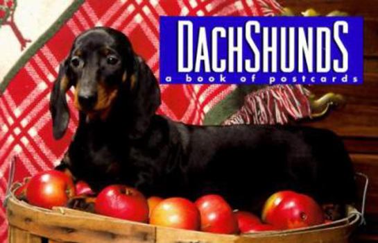 Dachshunds: A Book of Postcards