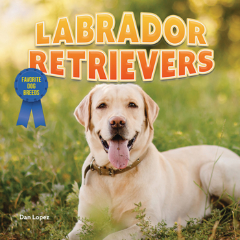 Paperback Labrador Retrievers Book