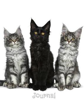 Paperback Journal: Trio of Maine Coons Notebook Book