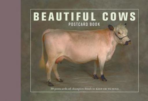 Paperback Beautiful Cows Postcard Book: 30 Postcards of Champion Breeds to Keep or Send Book