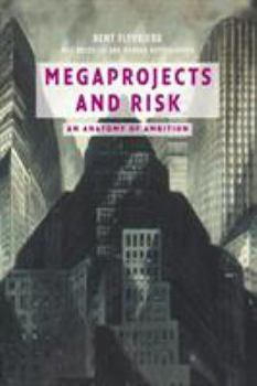 Paperback Megaprojects and Risk Book