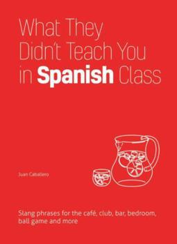 Hardcover What They Didn't Teach You in Spanish Class: Slang Phrases for the Cafe, Club, Bar, Bedroom, Ball Game and More Book