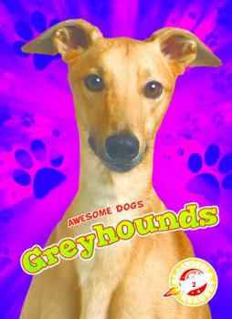 Library Binding Greyhounds Book