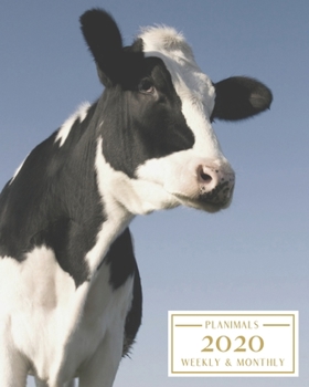 Paperback 2020: Weekly and Monthly Planner/Calendar Jan 2020 - Dec 2020 Black and White Cow Book