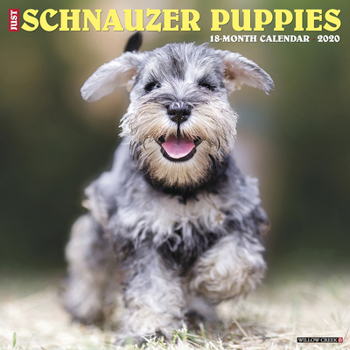 Calendar Just Schnauzer Puppies 2020 Wall Calendar (Dog Breed Calendar) Book