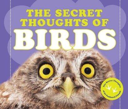 Hardcover The Secret Thoughts of Birds Book