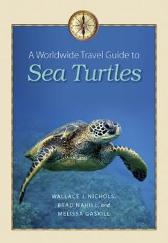 Paperback A Worldwide Travel Guide to Sea Turtles Book