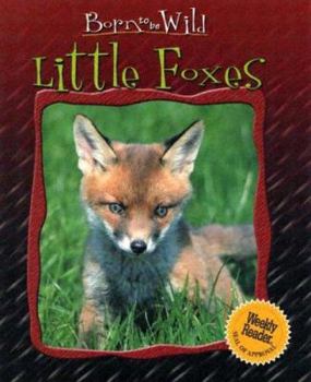 Library Binding Little Foxes Book