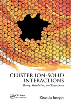 Paperback Cluster Ion-Solid Interactions: Theory, Simulation, and Experiment Book
