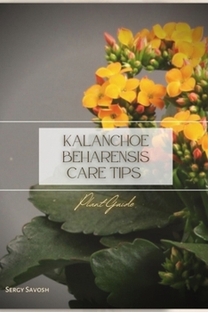 Paperback Kalanchoe beharensis Care Tips: Plant Guide Book